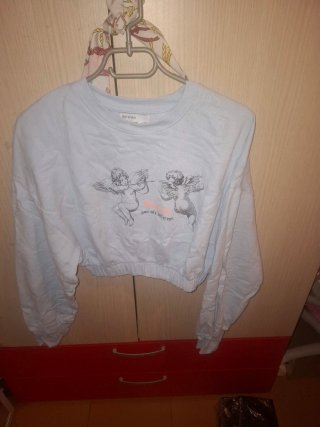 Lote de sudaderas cortas