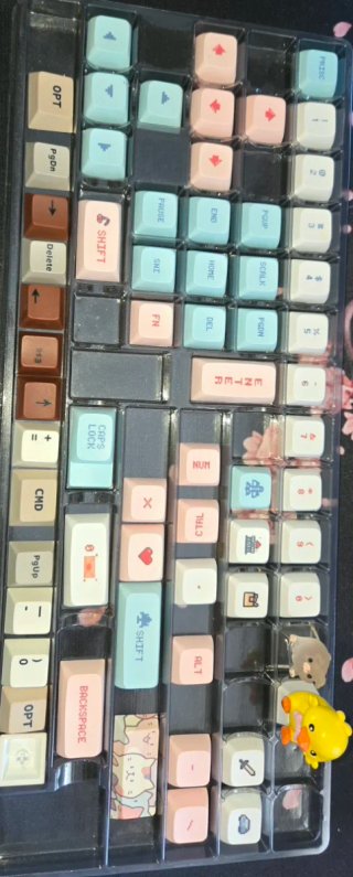 Teclado Mecánico y Accesorios