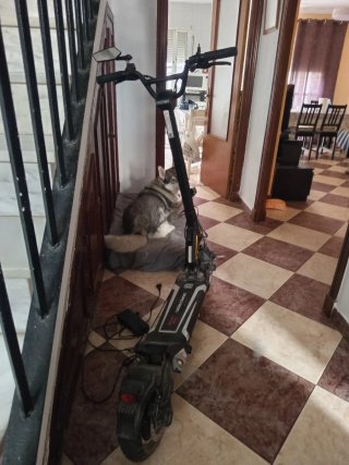 Patinete Eléctrico dualtron togo limited