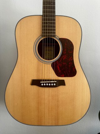 Guitarra Electroacústica Walden D550E