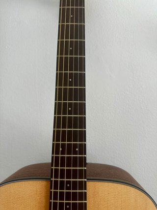 Guitarra Electroacústica Walden D550E