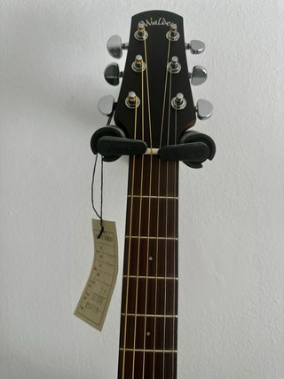 Guitarra Electroacústica Walden D550E