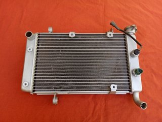 Radiador Suzuki LTZ 400 Original