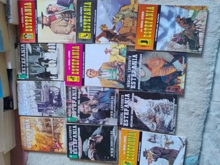 Lote 48 novelas Marcial Lafuente Estefanía – Oeste