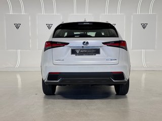 Lexus NX 300h 2.5 197cv HEV