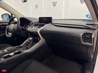 Lexus NX 300h 2.5 197cv HEV