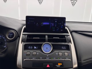 Lexus NX 300h 2.5 197cv HEV