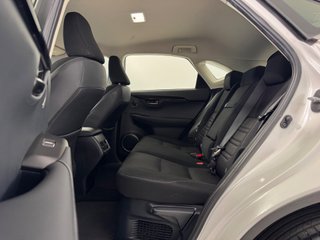 Lexus NX 300h 2.5 197cv HEV