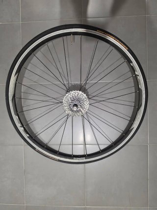 Rueda Trasera Shimano Rodillo Continental