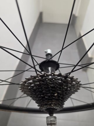 Rueda Trasera Shimano Rodillo Continental