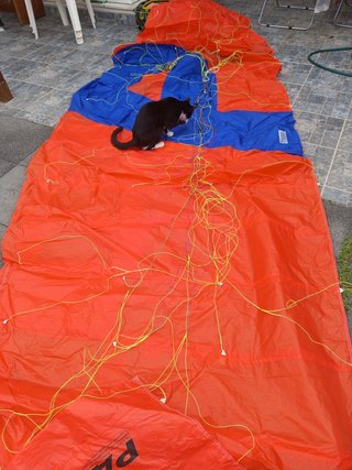 Cometa Pansh Hawk 8m