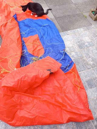 Cometa Pansh Hawk 8m