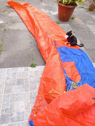 Cometa Pansh Hawk 8m