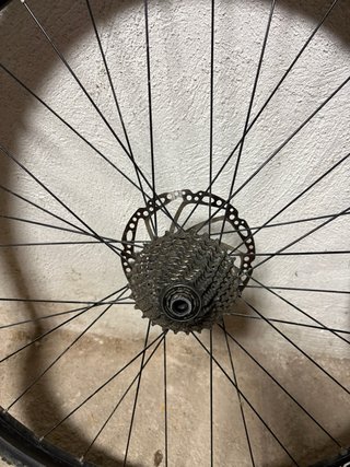 Ruedas Gravel/Ciclocross Alexrims