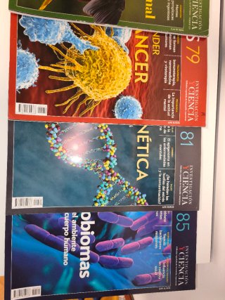 Lote revistas investigación y ciencia