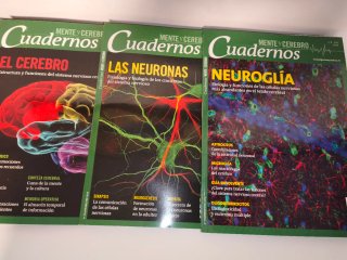 Lote revistas investigación y ciencia