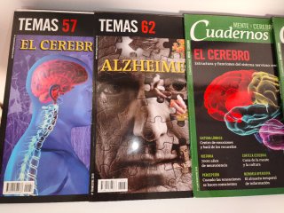 Lote revistas investigación y ciencia