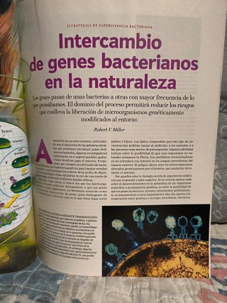 Lote revistas investigación y ciencia