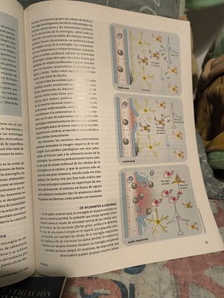 Lote revistas investigación y ciencia