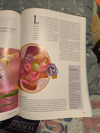 Lote revistas investigación y ciencia