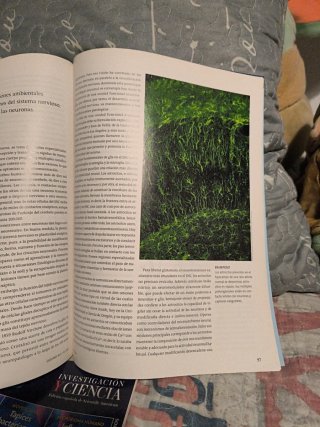Lote revistas investigación y ciencia
