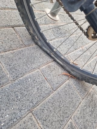 Bicicleta de Montaña Orbea + CASCO + CADENA