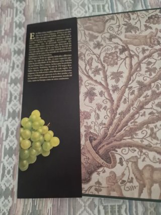 LIBRO EL VINO