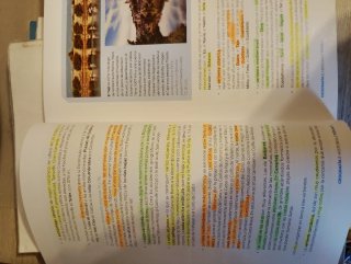 Libro de geografía e historia