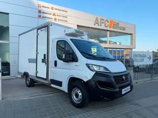 Fiat Ducato C.Cabina Maxi 35 L4 2.3 1FA (103 kW)