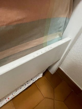 Cama blanca y somier plegable