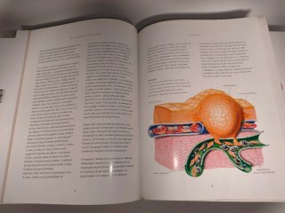 Colección Libros Anatomica