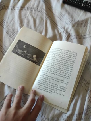 Libro de lectura "El Palacio de los Tres Ojos"