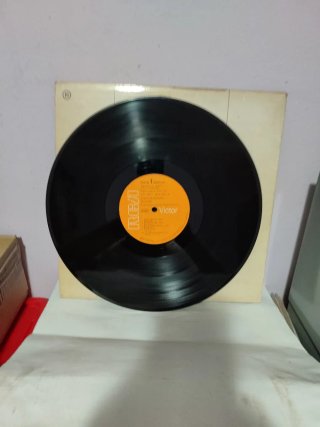 Lou Reed - Coney Island Baby Vinilo LP