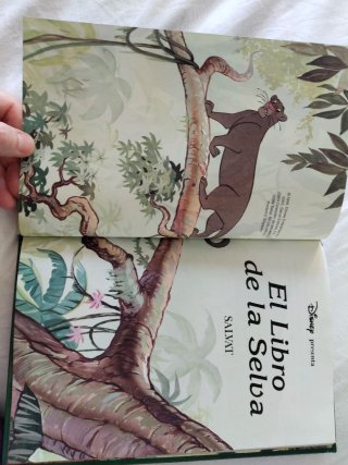Lote 10 libros Disney y otros