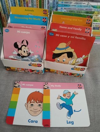 Colección 50 Libros Infantiles Inglés con fichas