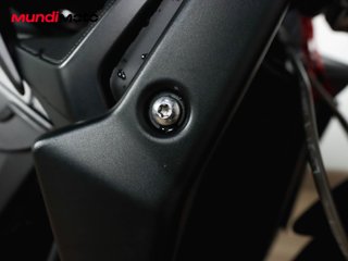 TRIUMPH STREET TRIPLE 765 R LOW