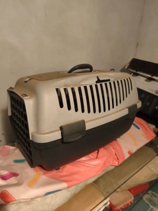 Transportín perro pequeño beige/gris