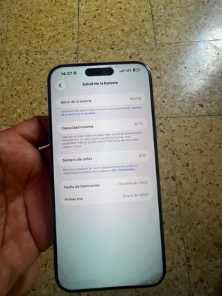 iPhone 15 Pro Max 256 GB Gris