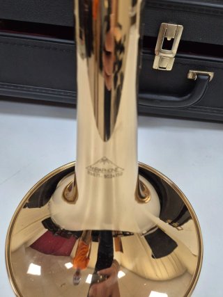 Trombón Miraphone con estuche