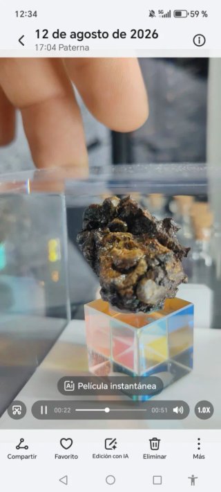 Meteorito Pallasita Auténtico