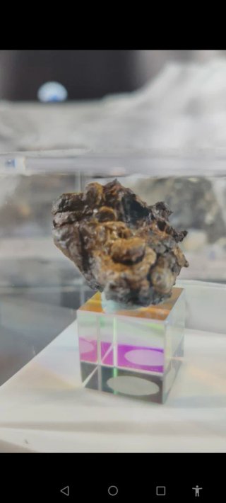 Meteorito Pallasita Auténtico