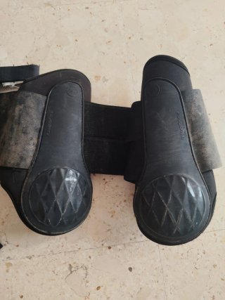 Fontanela y protectores caballo
