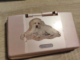 Lote 3 Nintendo DS
