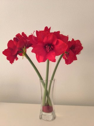 Jarrón con flores rojas artificiales
