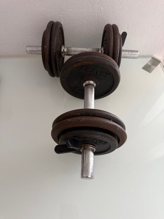 Juego de Pesas para Gimnasio