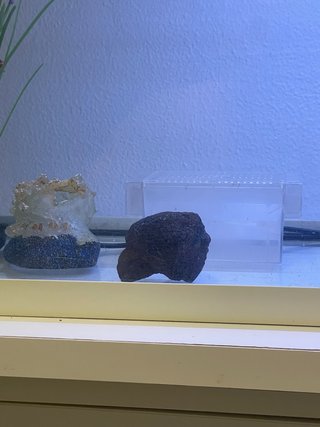 Acuario completo