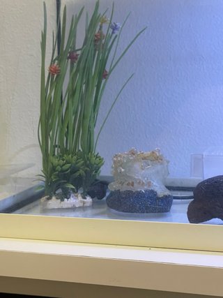 Acuario completo