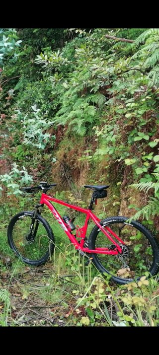 Bicicleta DTB 27,5