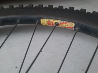 Rueda Bicicleta Delantera