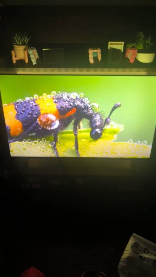 TV Philips 50 4K QLED UHD Ambilight COMO NUEVA